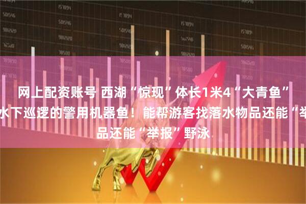 网上配资账号 西湖“惊现”体长1米4“大青鱼”？其实是水下巡逻的警用机器鱼！能帮游客找落水物品还能“举报”野泳